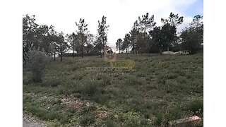 Land for sale in Ourém, Portugal — €25,000