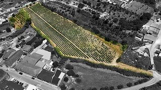 Land for sale in Cartaxo, Portugal — €115,000