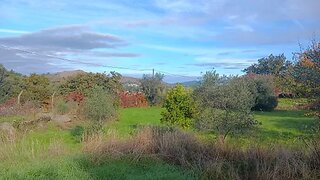 Land for sale in Idanha-a-Nova, Portugal — €15,000