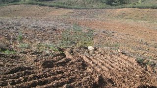 Land for sale in Castro Marim, Portugal — €12,000