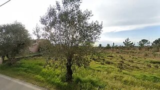 Land for sale in Anadia, Portugal — €55,000