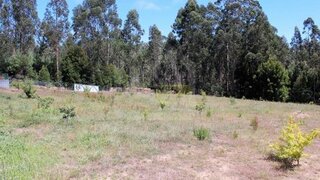 Land for sale in Santa Maria da Feira, Portugal — €65,000