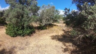 Land for sale in Loulé, Portugal — €25,000