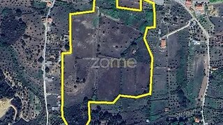Land for sale in Mação, Portugal — €495,000
