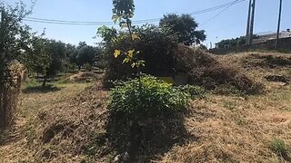 Land for sale in Tomar, Portugal — €23,000