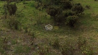 Land for sale in Ribeira Brava, Portugal — €80,000