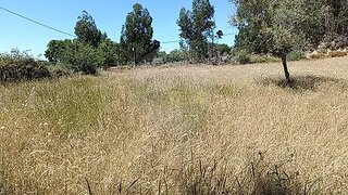 Land for sale in Penamacor, Portugal — €13,690