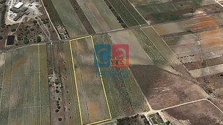 Land for sale in Alpiarça, Portugal — €60,000