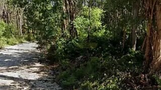 Land for sale in Condeixa-a-Nova, Portugal — €57,000