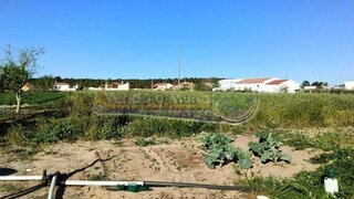 Land for sale in Salvaterra de Magos, Portugal — €56,000