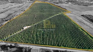 Terreno de 186 240 m² em Santarém