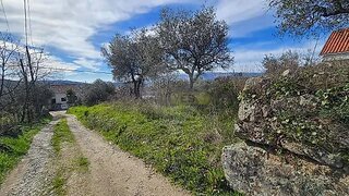 Terreno em Belmonte