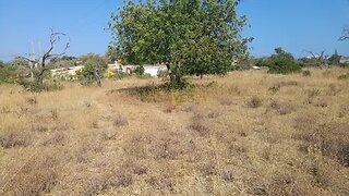 Land for sale in Olhão, Portugal — €86,000