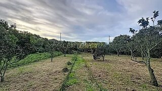 Land for sale in Ribeira Grande, Portugal — €120,000