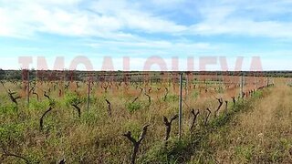 Land for sale in Reguengos de Monsaraz, Portugal — €31,000