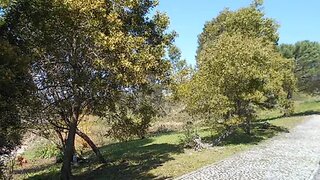 Land for sale in Figueira da Foz, Portugal — €419,000