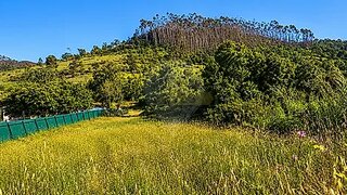 Land for sale in Ourém, Portugal — €17,000