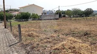 Land for sale in Santa Comba Dão, Portugal — €42,000