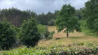 Land for sale in Viana do Castelo, Portugal — €90,000