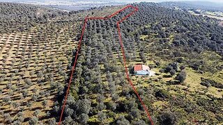 Terreno em Estremoz
