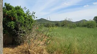 Land for sale in Penela, Portugal — €85,000