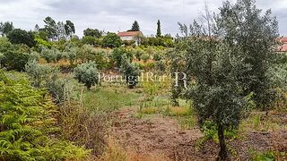Land for sale in Proença-a-Nova, Portugal — €30,000