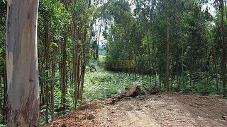 Land for sale in Monção, Portugal — €70,000