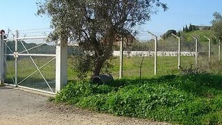 Terreno de 2300 m² em Setúbal