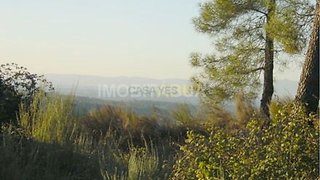 Land for sale in Tábua, Portugal — €62,000