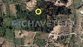 Land for sale in Ferreira do Zêzere, Portugal — €5,000