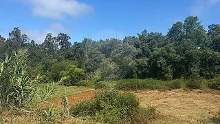 Land for sale in Figueira da Foz, Portugal — €35,000