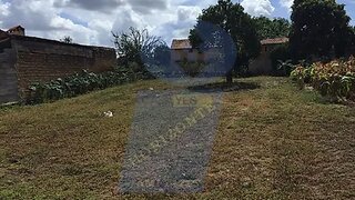 Land for sale in Anadia, Portugal — €33,000