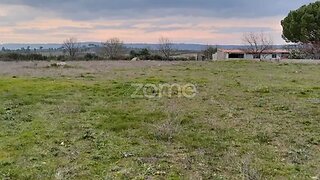 Terreno em Celorico da Beira