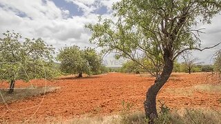 Land for sale in Loulé, Portugal — €30,000
