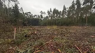 Land for sale in Estarreja, Portugal — €60,000