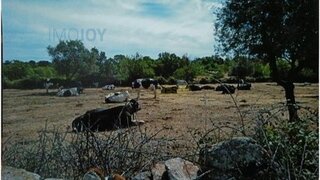 Terreno em Almeida · 4600 m² · 30 000 €