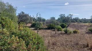 Land for sale in Loulé, Portugal — €149,000