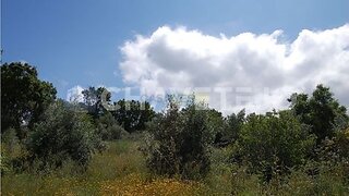 Land for sale in Tomar, Portugal — €7,000