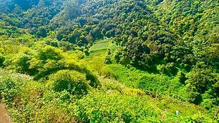 Land for sale in Machico, Portugal — €51,500