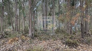 Land for sale in Óbidos, Portugal — €69,700