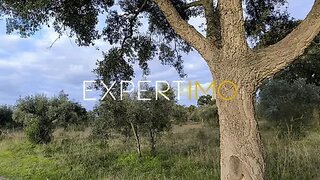 Land for sale in Vila Nova da Barquinha, Portugal — €40,000