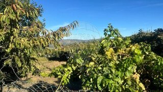 Land for sale in Lamego, Portugal — €75,000