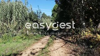 Land for sale in Oliveira do Bairro, Portugal — €35,000