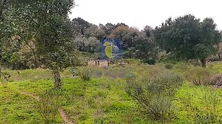 Terreno em Arruda dos Vinhos · 24 560 m² · 195 000 €