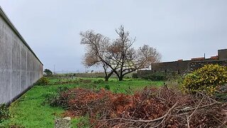 Terreno de 2000 m² em Viana do Castelo