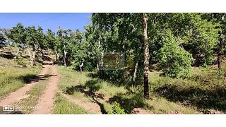 Land for sale in Santiago do Cacém, Portugal — €60,000