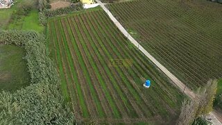 Land for sale in Torres Vedras, Portugal — €170,000