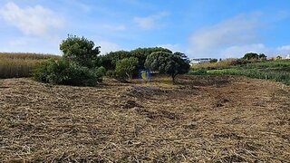 Land for sale in Caldas da Rainha, Portugal — €175,000