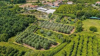 Land for sale in São Pedro do Sul, Portugal — €33,000