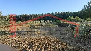 Land for sale in Mirandela, Portugal — €70,000